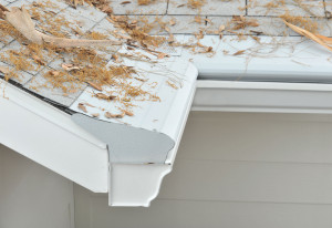Gutter Protection System Iowa City IA