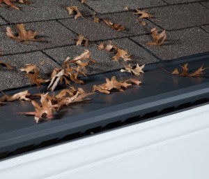 Gutter Protection Winterset IA