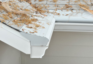 Gutter Protection Huxley IA