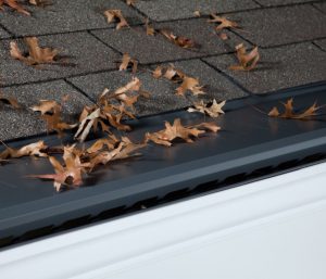Gutter Protection Ames IA