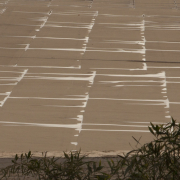 standing water on flat roof