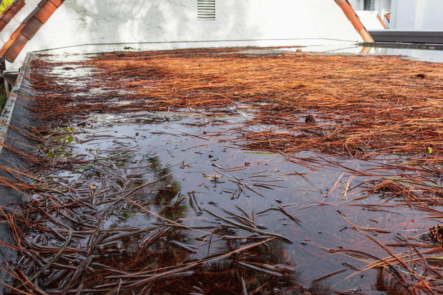 Visual representation of the impact of ponding water on roofing materials. 